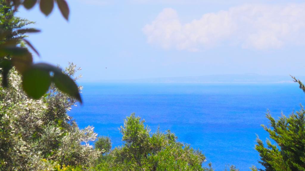 Fiore Hill Sea View Studios Vasilikí Exteriör bild
